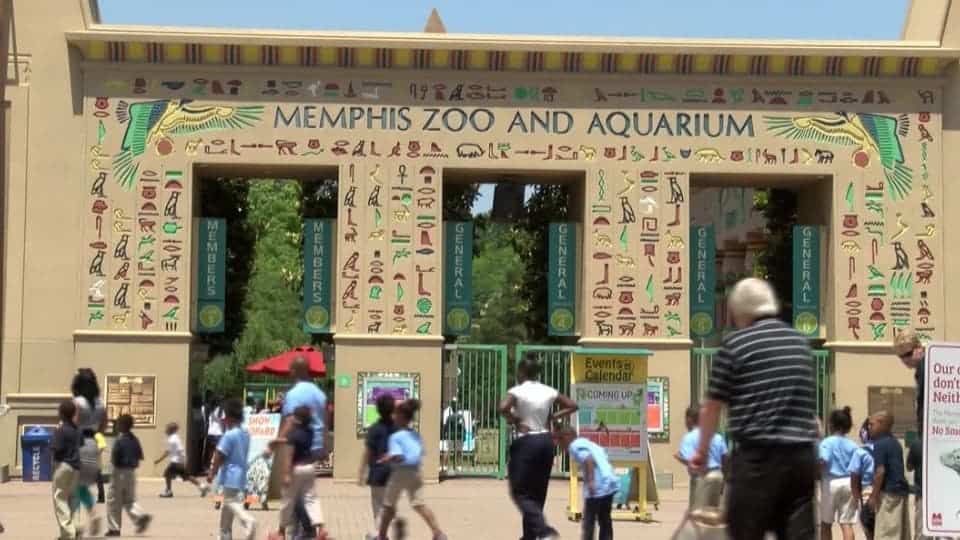 20 Top Largest Zoos In The World [ Updated 2019 ] DailyPicked