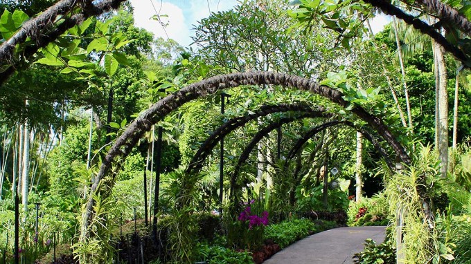 Botanic Gardens In Singapore