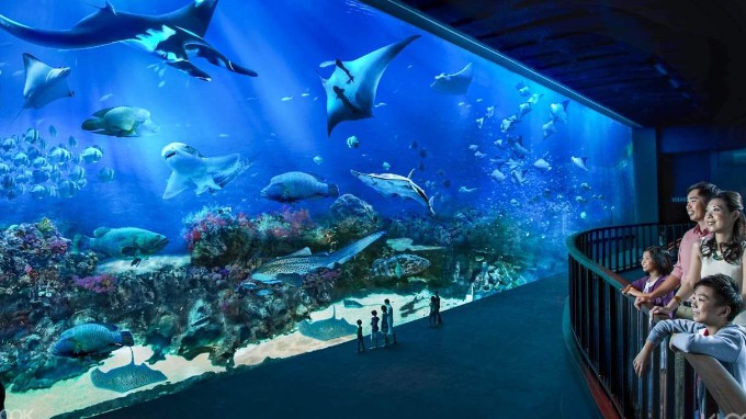 Sea Aquarium In Singapore